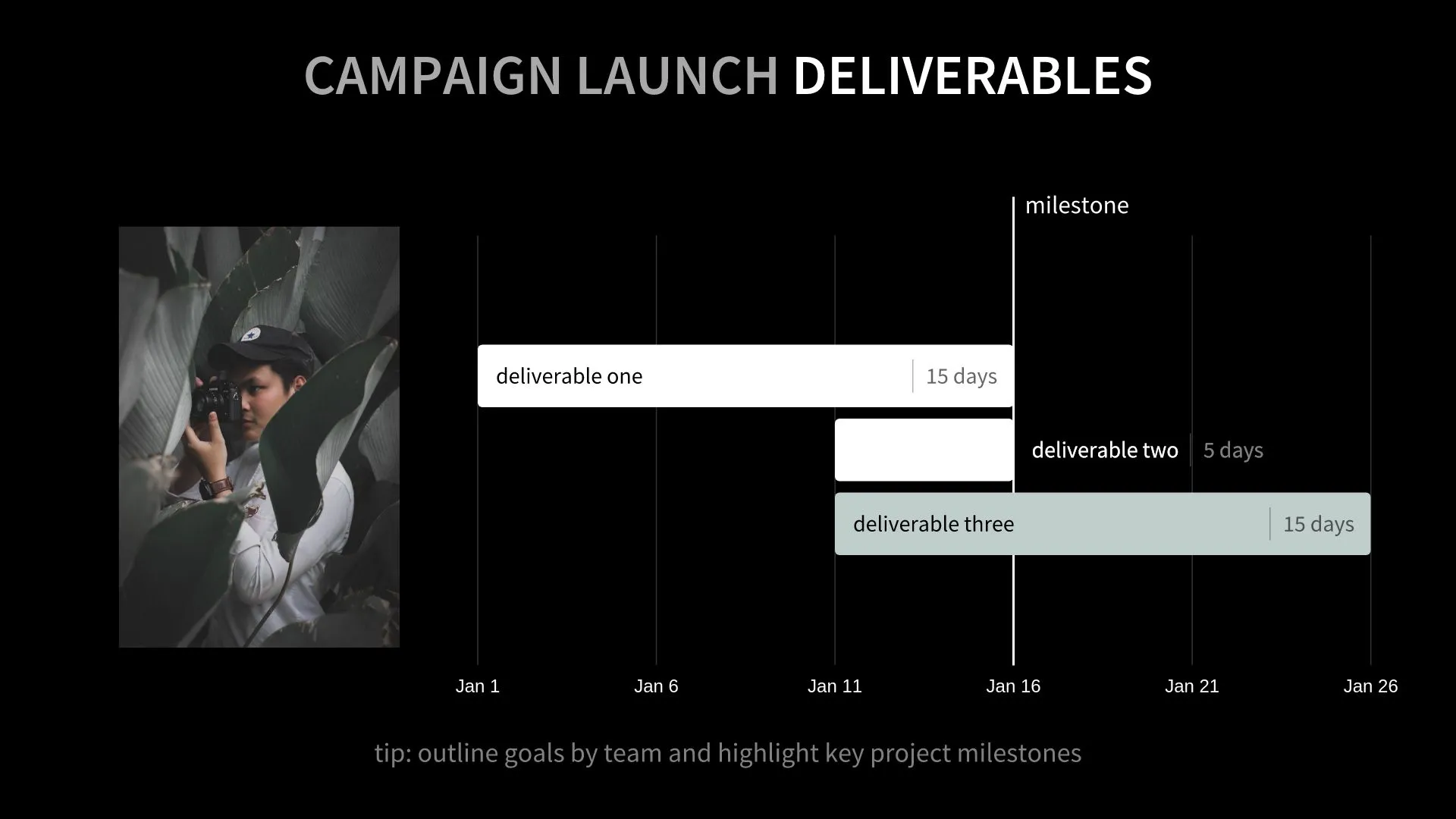 Campaign Deliverables